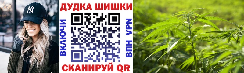 ГАШ Котельнич
