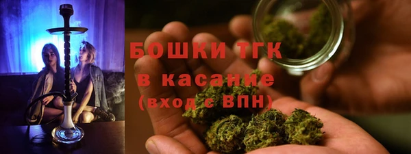 ешки Алексин