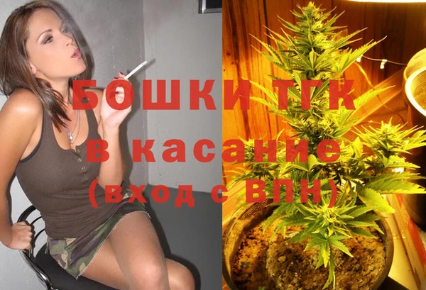 ешки Алексин