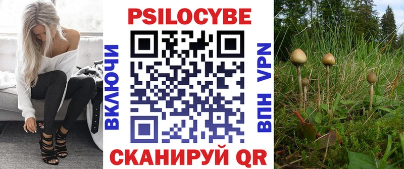 Галлюциногенные грибы MAGIC MUSHROOMS наркота hydra Котельнич