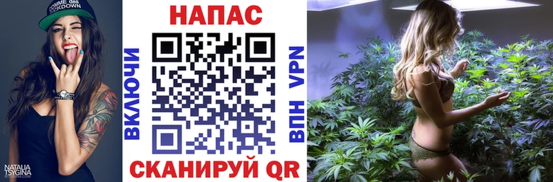 МАРИХУАНА сатива  Котельнич 